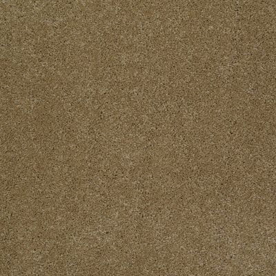 Anderson Tuftex Pet Perfect Bear Maple Glaze 00202_950DF