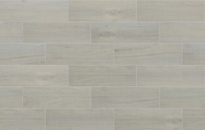 Shaw Floors Ceramic Solutions Regent 7×22 Silver 00550_290TS