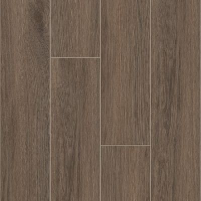 Shaw Floors Ceramic Solutions Moonstruck 9×47 Escape 00750_523TS