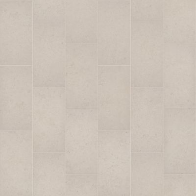 Shaw Floors Ceramic Solutions Timeless 12×24 Mantra 00100_403TS
