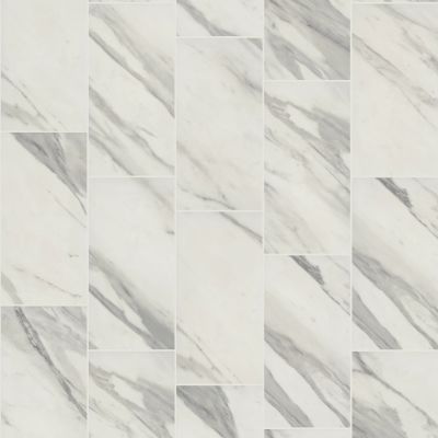 Shaw Floors Ceramic Solutions SERENE 12X24 POLISHED Bianco Cararra 00125_360TS