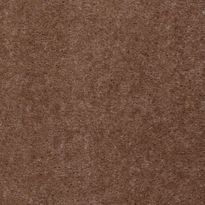 Shaw Floors Renegade Leather Brown 01731_A4101
