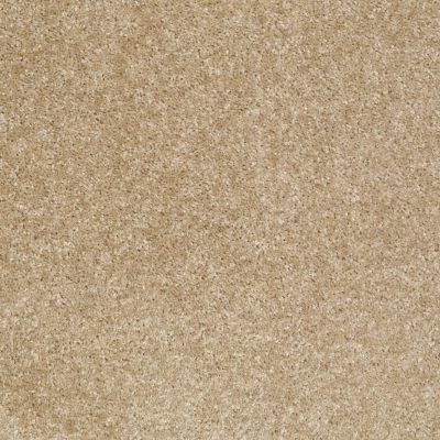 Shaw Floors Debut Leather 00700_A4468