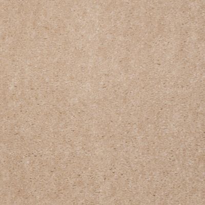 Shaw Floors Renegade II Split Oak 00111_A4597