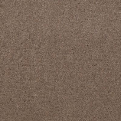 Philadelphia Commercial Registry 30 Tempo Taupe 79742_A5720