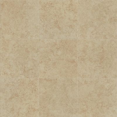 Shaw Floors Ashton Woods Homes Becton 17×17 Cafe 00700_A840S
