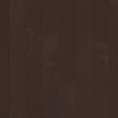 Shaw Floors To Go Hardwood Twig Court Conway 00698_AF804