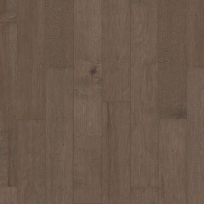 Shaw Floors Abbey Hardwood Twig Court Windsurf 05034_AF804