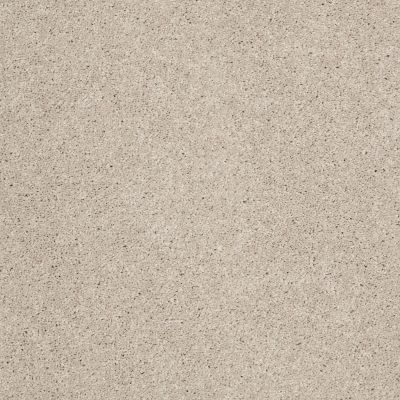 Anderson Tuftex Natural State 1 Cement 00512_ARK51