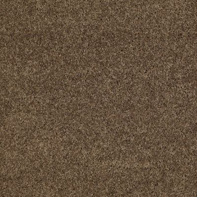 Anderson Tuftex Natural State 1 Vicuna 00736_ARK51