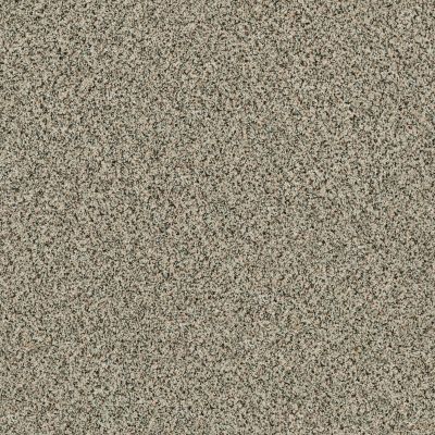 Shaw Floors Caress By Shaw Softly Surreal Classic I Dartmoor 0136A_BCC05
