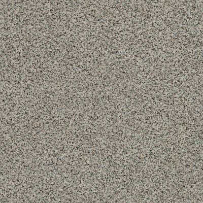 Shaw Floors Caress By Shaw Softly Surreal Classic II Lamb 0135A_BCC06