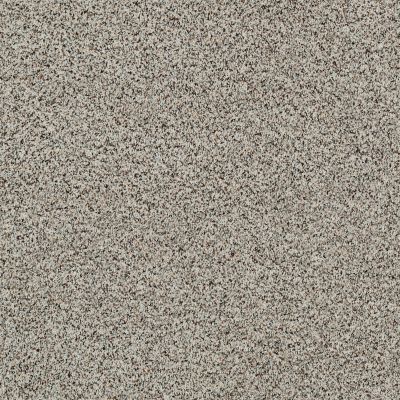 Shaw Floors Caress By Shaw Softly Surreal Classic III Dala 0134A_BCC07