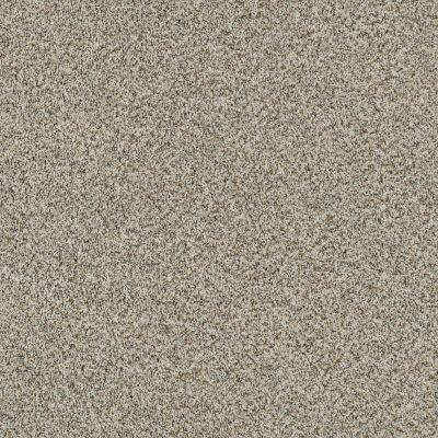 Shaw Floors Caress By Shaw Delicate Distinction Classic I Drizzle 0340B_BCC17