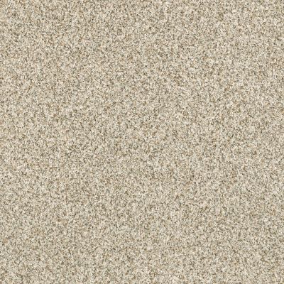 Shaw Floors Caress By Shaw Delicate Distinction Classic I Celtic 0341B_BCC17