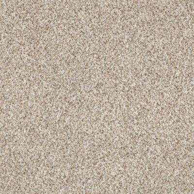 Shaw Floors Caress By Shaw Delicate Distinction Classic I Granite 0741B_BCC17