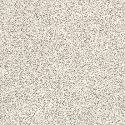 Shaw Floors Caress By Shaw Delicate Distinction Classic I Valley 0141B_BCC18