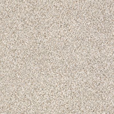 Shaw Floors Caress By Shaw Delicate Distinction Classic I Heath 0540B_BCC18