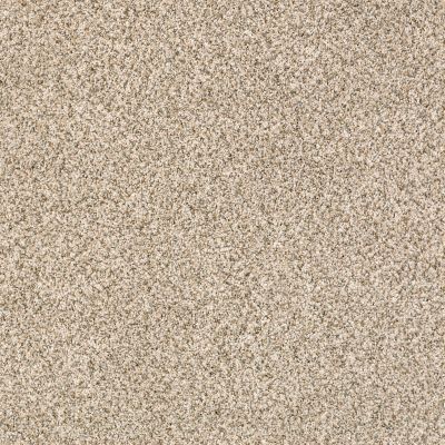 Shaw Floors Caress By Shaw Delicate Distinction Classic I Cavern 0740B_BCC19