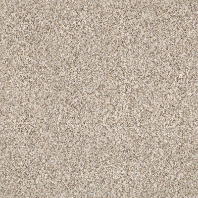 Shaw Floors Caress By Shaw Delicate Distinction Classic I Granite 0741B_BCC19