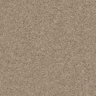 Shaw Floors Roll Special Bp110 Tumbleweed 00102_BP110