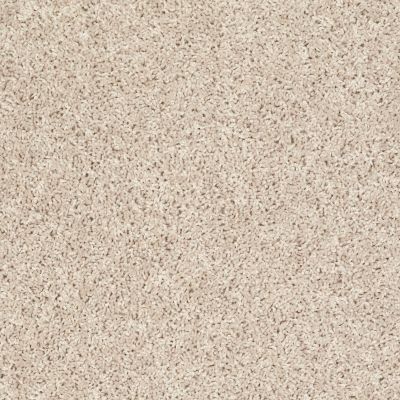Shaw Floors Roll Special Bp110 Frosted Glass 00103_BP110