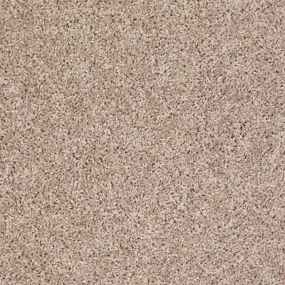 Shaw Floors Roll Special Bp110 Washed Suede 00104_BP110