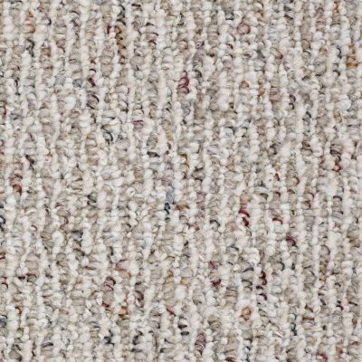 Shaw Floors Roll Special Bps26 Asteroid 00500_BPS26