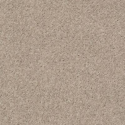 Shaw Floors Roll Special Bps59 Bare Mineral 00105_BPS59