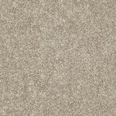 Shaw Floors Home Foundations Gold Bx001 Cappuccino 00747_BX001