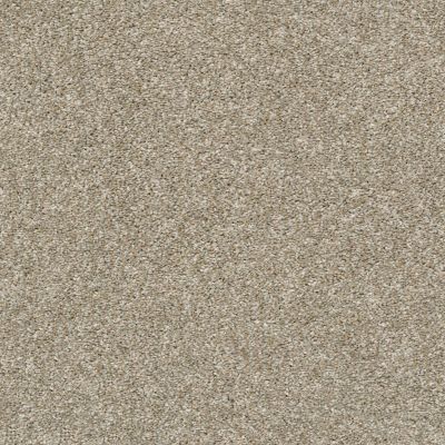 Shaw Floors Clayton Homes Mellinium Way Raw Wood 00110_C042Y