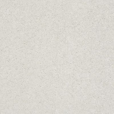 Shaw Floors Clayton Homes Mellinium Way Sugar Cookie 00121_C042Y