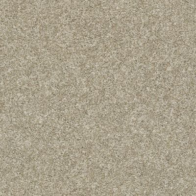 Shaw Floors Clayton Homes Mellinium Way Latte 00700_C042Y