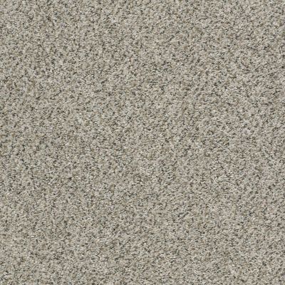 Shaw Floors Clayton Homes Mellinium Way Silversmith 00730_C042Y