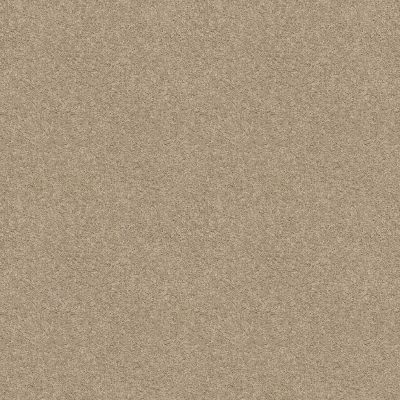 Shaw Floors Century Homes Elliots Manor I Agate 00102_C083H