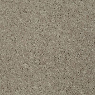 Shaw Floors Century Homes Elliots Mannor II Natural Beige 00700_C084H