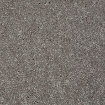 Shaw Floors Century Homes Elliots Mannor II Mocha Frost 00702_C084H