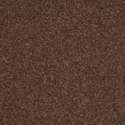 Shaw Floors Century Homes Elliots Mannor II Briar Patch 00703_C084H