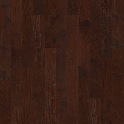 Shaw Floors Clayton Homes Sargeant Daly Evening Shade 00634_C106Y
