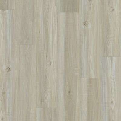 Shaw Floors Clayton Homes Mcwilliams Washed Oak 00509_C170Y