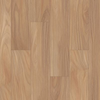 Shaw Floors Clayton Homes Falcon Creek Plus Natural Acacia 01093_C181Y