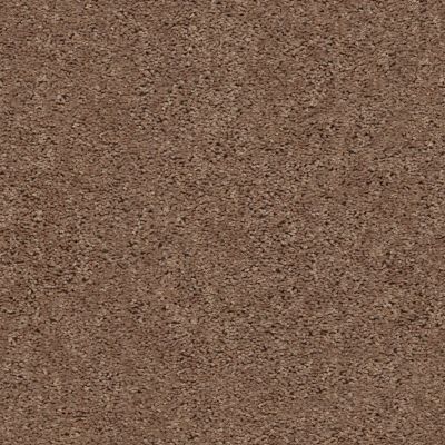 Shaw Floors Clayton Homes Alcot Way Clay 00701_C184Y