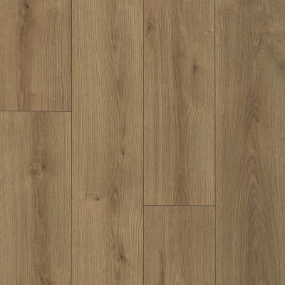 Shaw Floors Clayton Homes Dillon Creek Plus Dawn 07721_C231Y