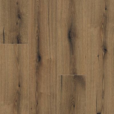 Shaw Floors Clayton Homes Dillon Creek Plus Pioneer 08009_C231Y