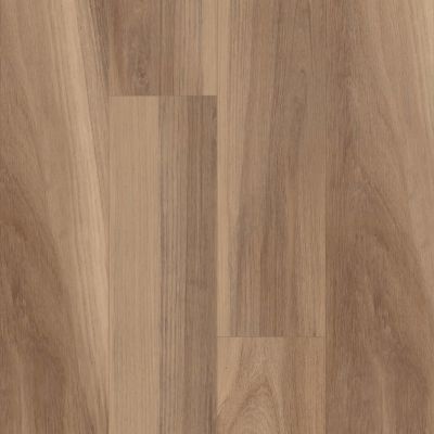 Shaw Floors Century Homes Salsbury Oak HD Plus Buff Oak 07058_C336H