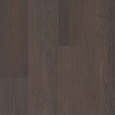 Shaw Floors Clayton Homes Summit Plus Umber 07225_C336Y