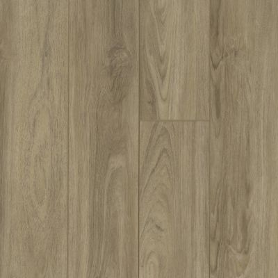 Shaw Floors Century Homes Phoenix Crest HD Plus Capri 07048_C346H