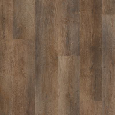 Shaw Floors Century Homes Pearson Grove Highlight Oak 07061_C354H