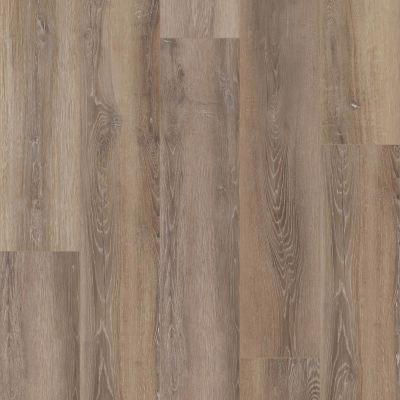 Shaw Floors Century Homes Coolidge Country Southampton Oak 02910_C368H