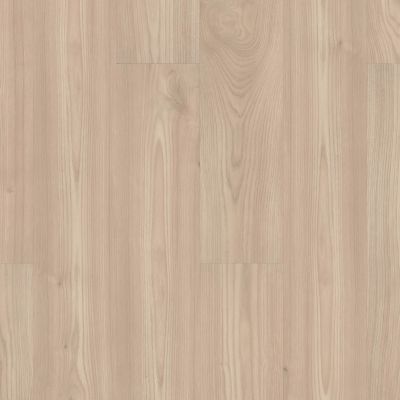 Shaw Floors Century Homes Casual Fashion Pashmina White 01035_C410H